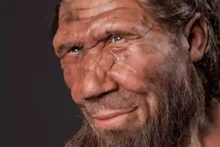 Свой язык