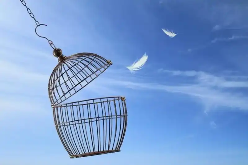 Желание играть