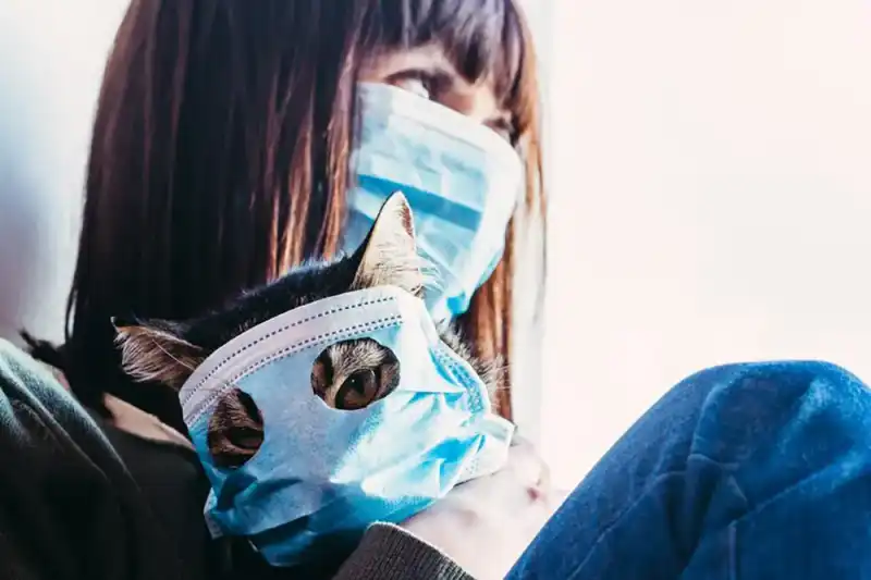 Не нудьгуйте на карантині 2021