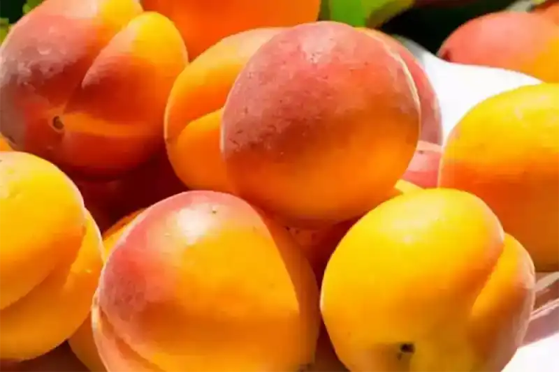 Женский маркетинг