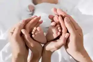 Колесо развода