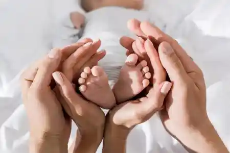 Колесо развода