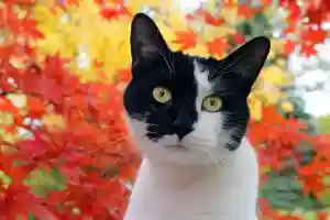 Мартовский отчёт