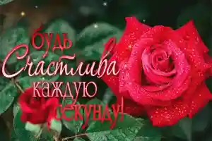 Нарративный императив
