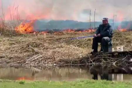 Земной бог