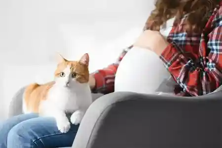 Дурацкая семья